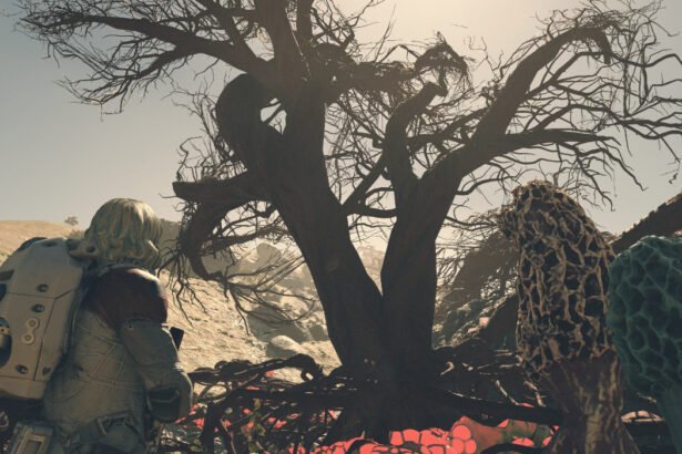 The player approaches a twisted tree in Starfield