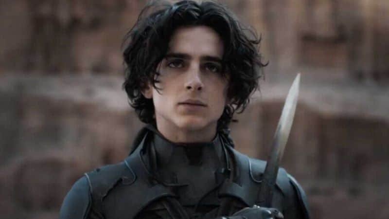 timothee chalamet audition
